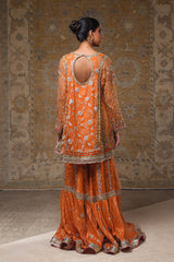 Orange Embroidered Organza & Jamawar Gharara (2-Piece) - Image 5