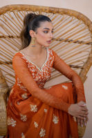 Burnt Orange Embroidered Raw Silk Kalidar (2-Piece) - Image 3