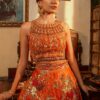 Rustic Orange Embroidered Net Lehenga Set (3-Piece) - Image 4
