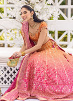 Ombre Embellished Pure Silk Lehenga Choli (3-Piece) - Image 5