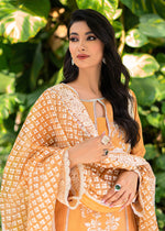 Pakistani Orange Embroidered Organza & Cotton Net Salwar Kameez (3-Piece) - Image 4