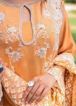 Pakistani Orange Embroidered Organza & Cotton Net Salwar Kameez (3-Piece) - Image 5