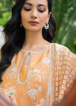 Pakistani Orange Embroidered Organza & Cotton Net Salwar Kameez (3-Piece) - Image 8