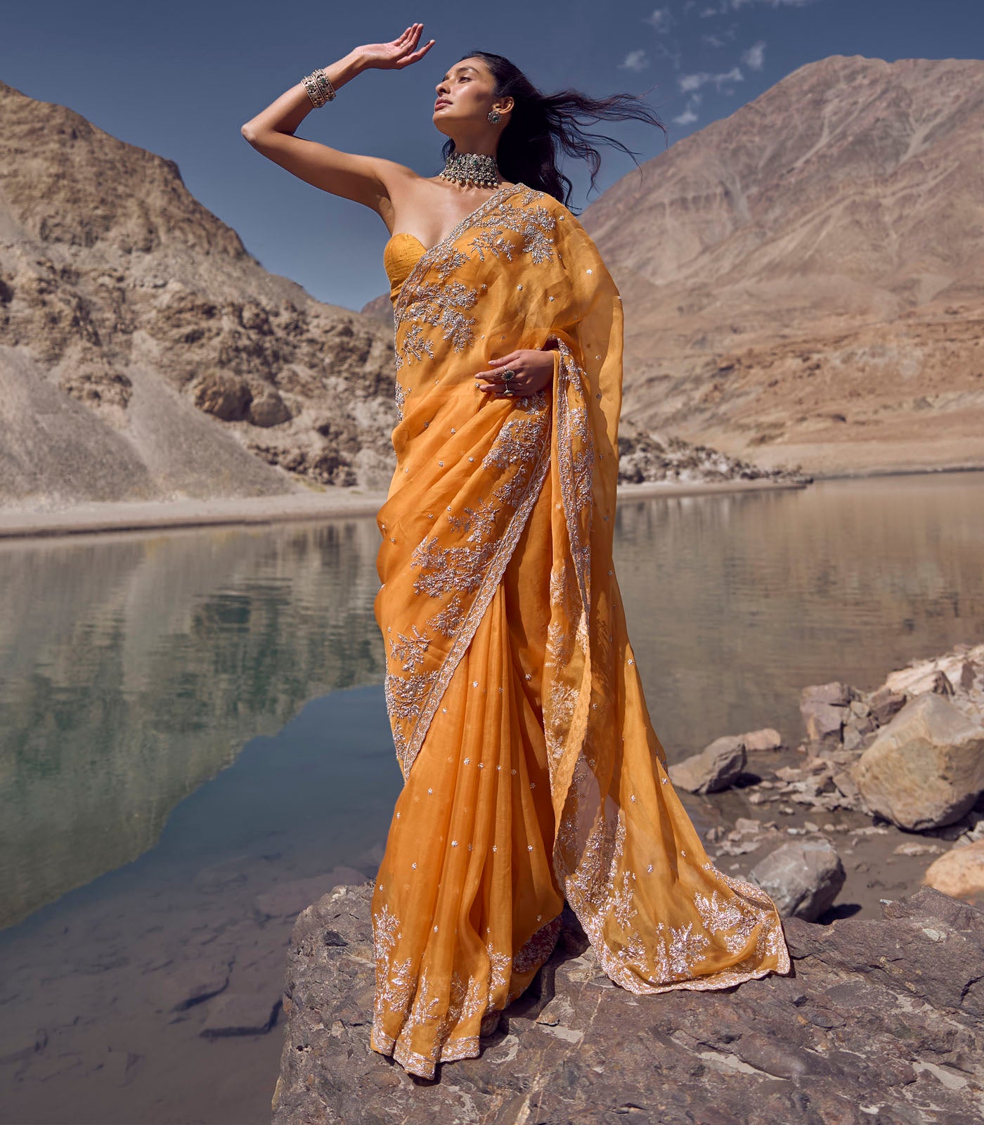 Indian Orange Embroidered Organza Saree (2-Piece) - Image 5