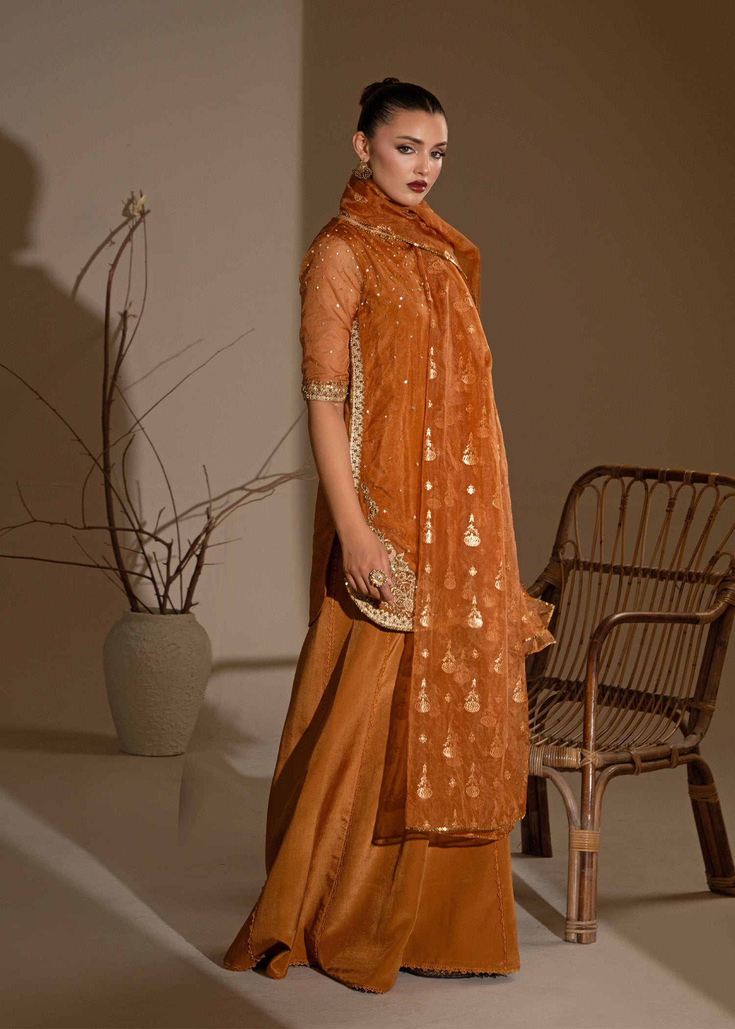 Rust Orange Embroidered Organza Sharara (3-Piece) - Image 10