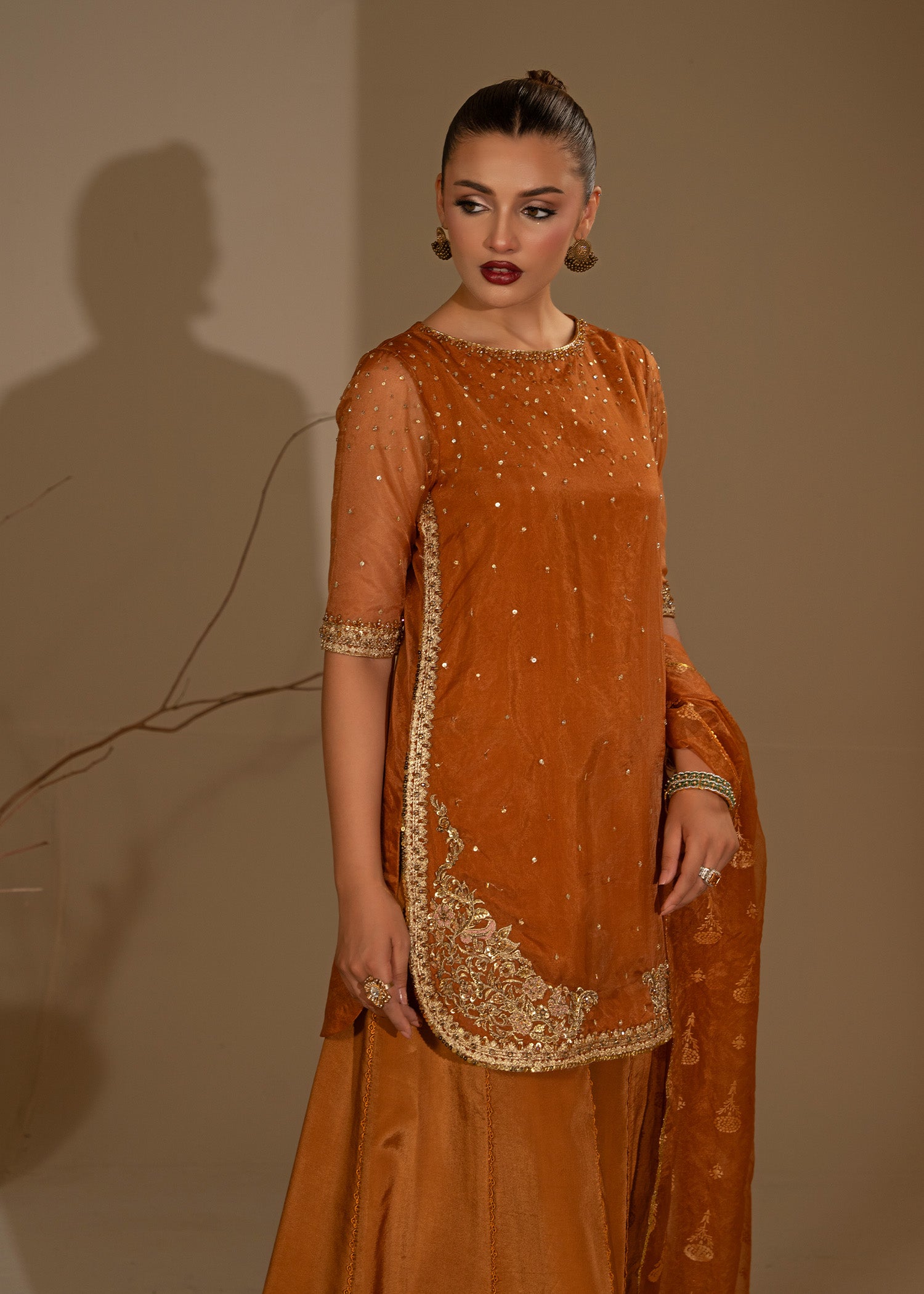 Rust Orange Embroidered Organza Sharara (3-Piece) - Image 4