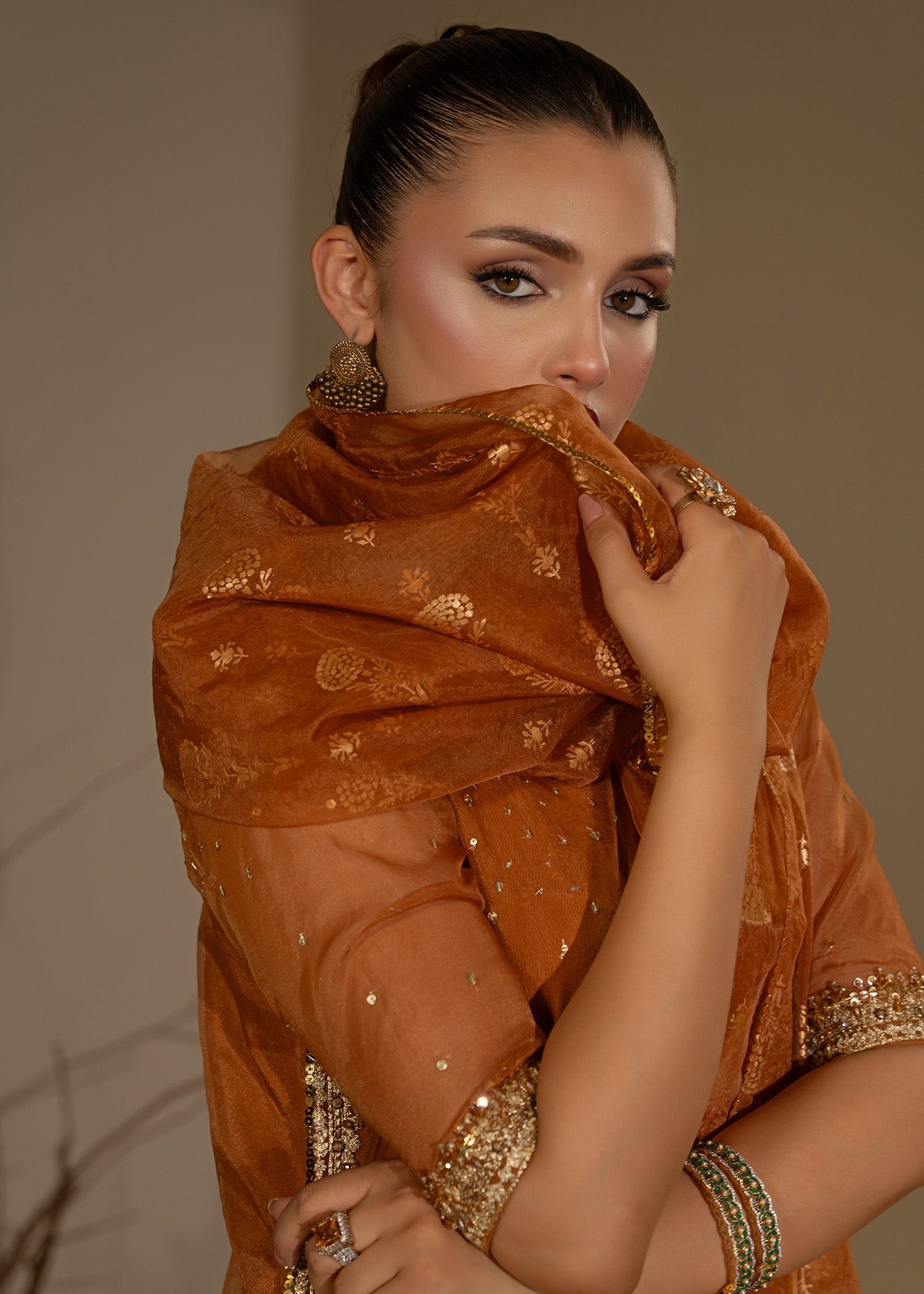 Rust Orange Embroidered Organza Sharara (3-Piece) - Image 5