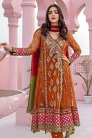 Rust-Peach Gota Resham Net Angrakha (3-Piece) - Image 3