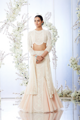 Pakistani Powder Peach Embroidered Net Fish Cut Lehenga (2-Piece) - Image 6