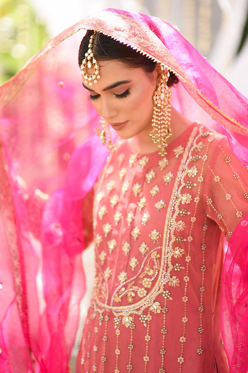 Pakistani Coral Peach Embellished Net Salwar Kameez (3-Piece) - Image 4