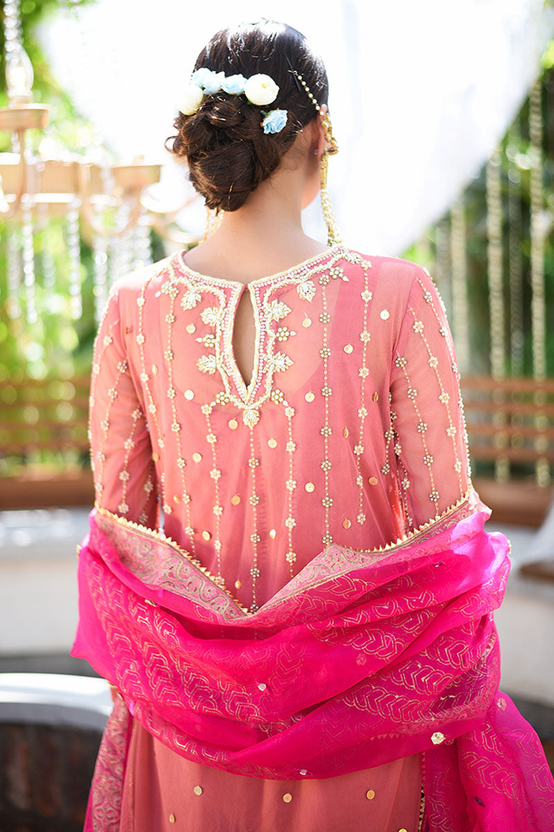 Pakistani Coral Peach Embellished Net Salwar Kameez (3-Piece) - Image 5