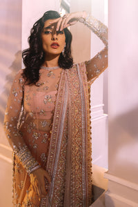 Salmon Peach Embroidered Net & Silk Salwar Kameez (3-Piece) - Image 1