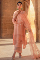 Pakistani Apricot Embroidered Silk Net Salwar Kameez (3-Piece) - Image 2