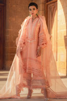 Pakistani Apricot Embroidered Silk Net Salwar Kameez (3-Piece) - Image 3