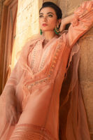 Pakistani Apricot Embroidered Silk Net Salwar Kameez (3-Piece) - Image 4