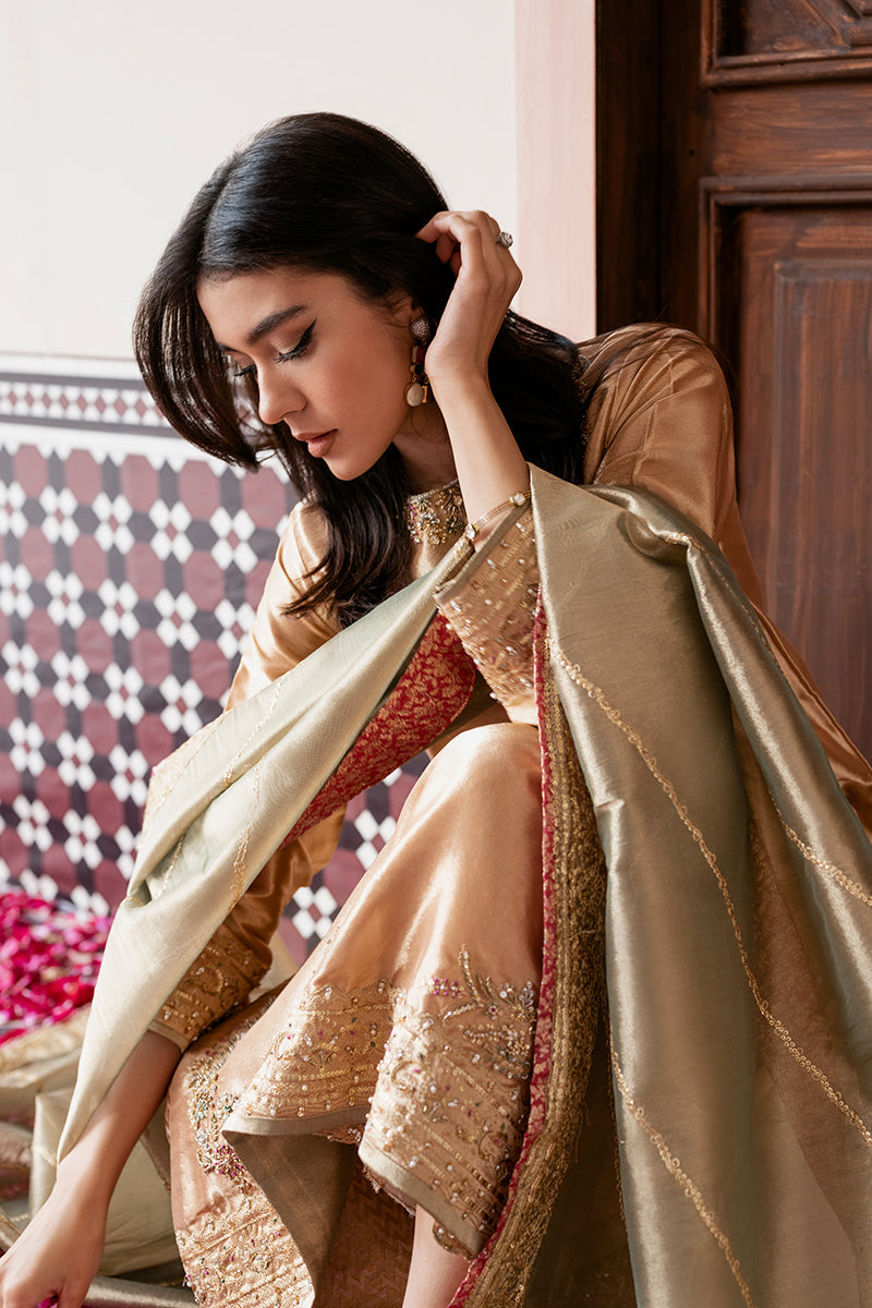 Pakistani Peach Gold Embroidered Zari Silk Salwar Kameez (3-Piece) - Image 5