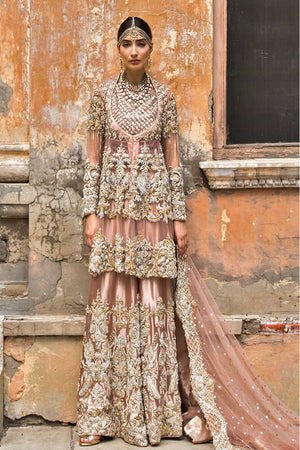 Cantaloupe Embellished Net Pishwas with Zari Tissue Sharara (3-Piece) - Image 3