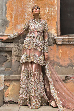 Cantaloupe Embellished Net Pishwas with Zari Tissue Sharara (3-Piece) - Image 4