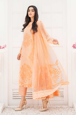Pakistani Peach Appliqué French Cotton Net Salwar Kameez (3-Piece) - Image 1