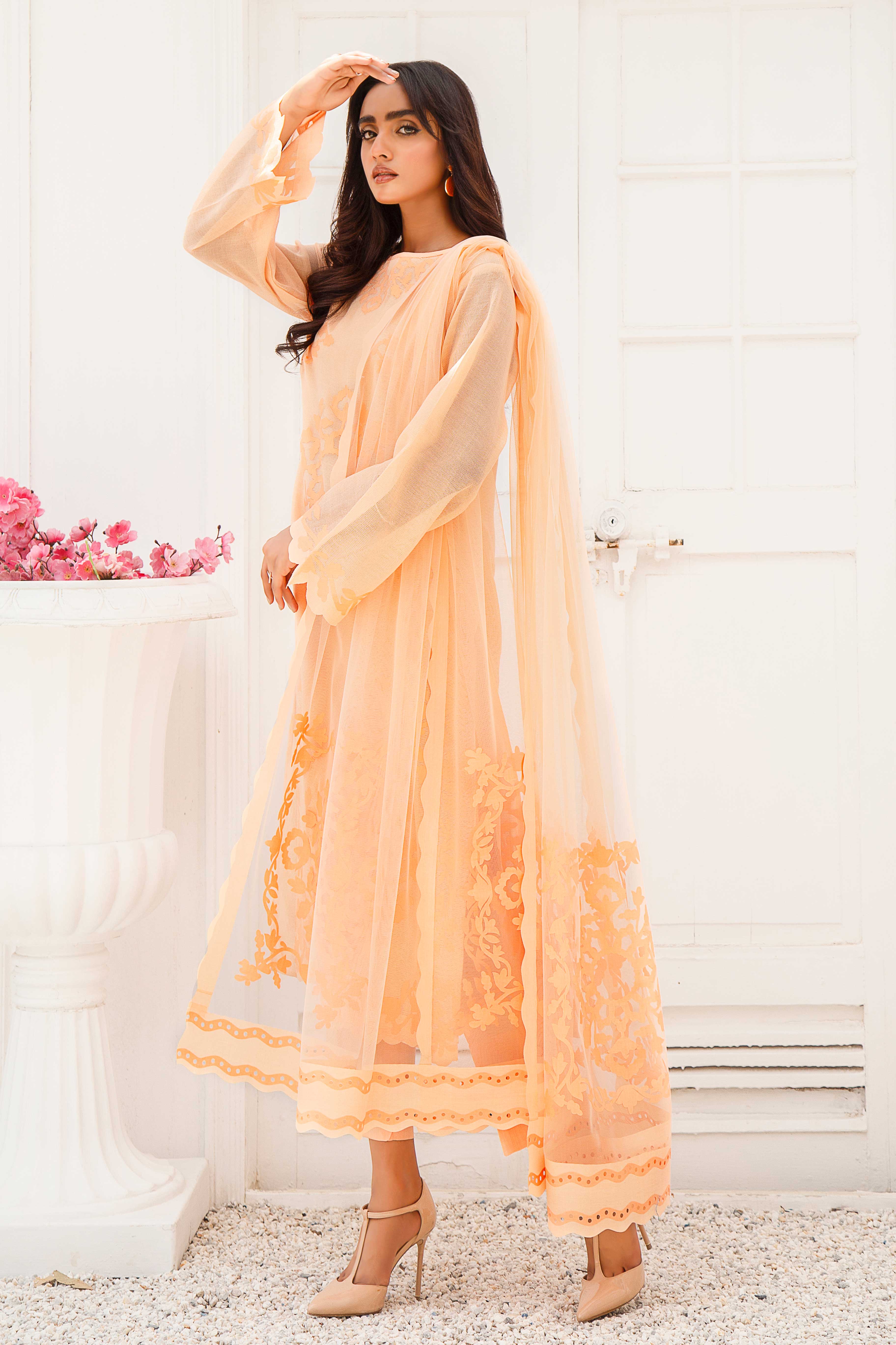 Pakistani Peach Appliqué French Cotton Net Salwar Kameez (3-Piece) - Image 8