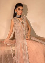 Pakistani Pink Embroidered Net Anarkali Dress (2-Piece) - Image 4
