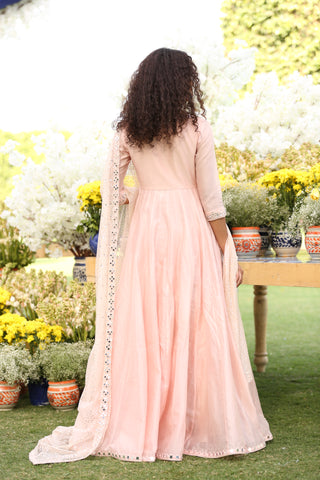 Blush Pink Hand-Embroidered Chanderi Net Anarkali (2-Piece) - Image 5
