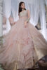 Pakistani Blush Pink Embellished Net Anarkali Dress (2-Piece) - Image 4