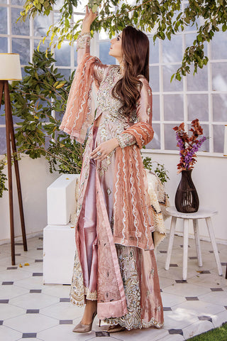 Pakistani Apricot Pink Embroidered Silk-Blend Anarkali Dress (2-Piece) - Image 5