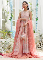 Coral Hand-Embellished Net Kalidaar Dress (2-Piece) - Image 2