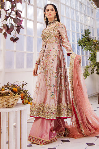 Pakistani Peach Pink Embroidered Organza Anarkali Dress (3-Piece) - Image 10