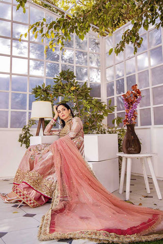 Pakistani Peach Pink Embroidered Organza Anarkali Dress (3-Piece) - Image 3