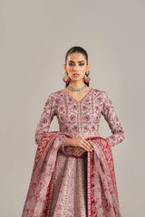 Pakistani Dusty Pink Embroidered Organza Anarkali Dress (2-Piece) - Image 5
