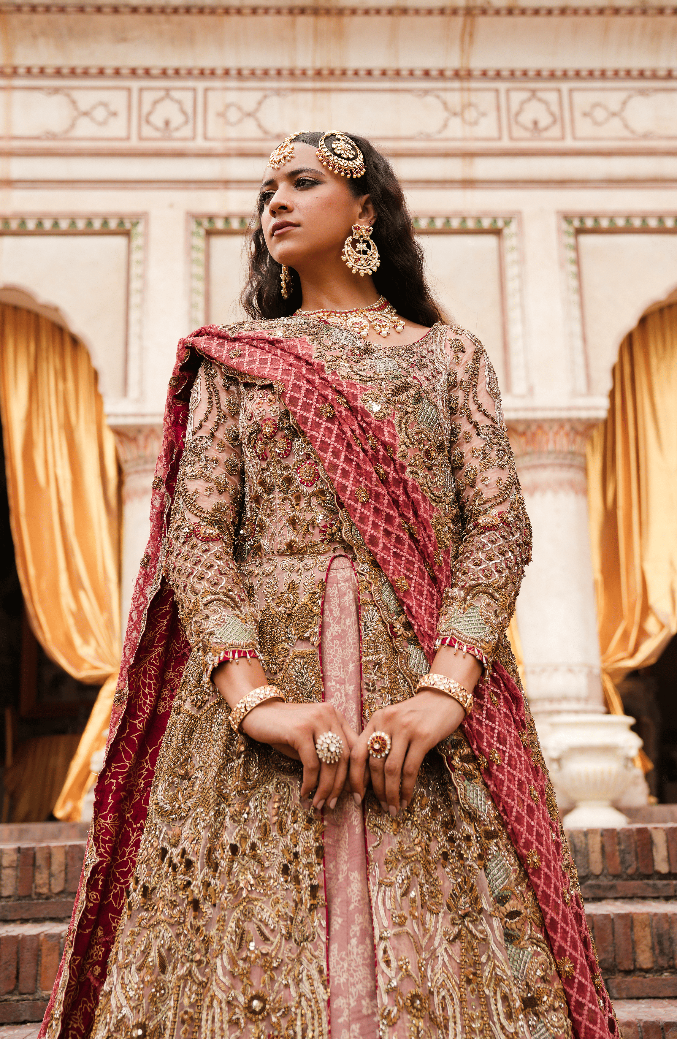 Pakistani Pink Ombre Embroidered Organza Anarkali Dress (2-Piece) - Image 7