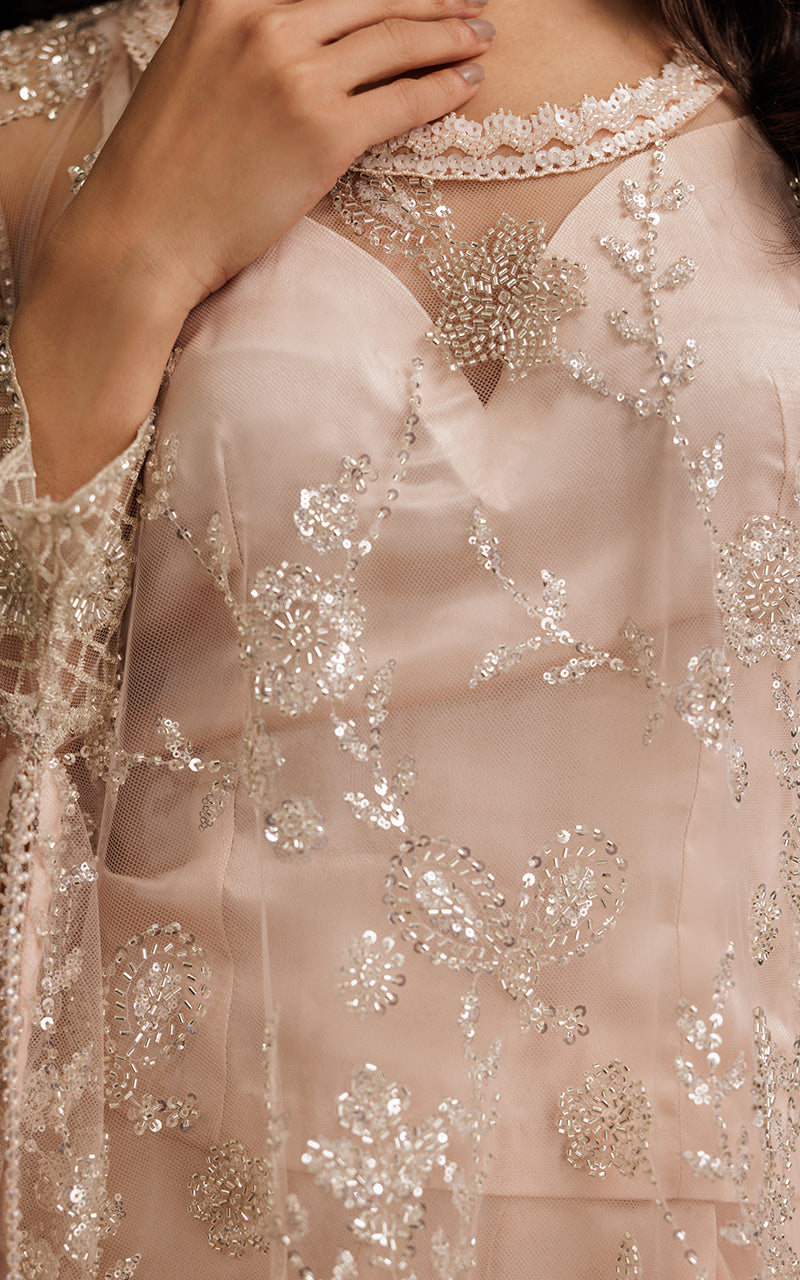 Blush Embroidered Net Cape Dress (3-Piece) - Image 3