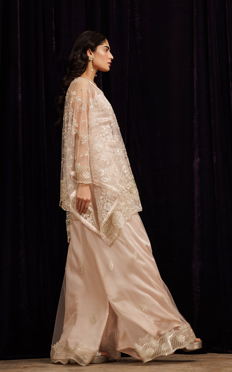 Blush Embroidered Net Cape Dress (3-Piece) - Image 4