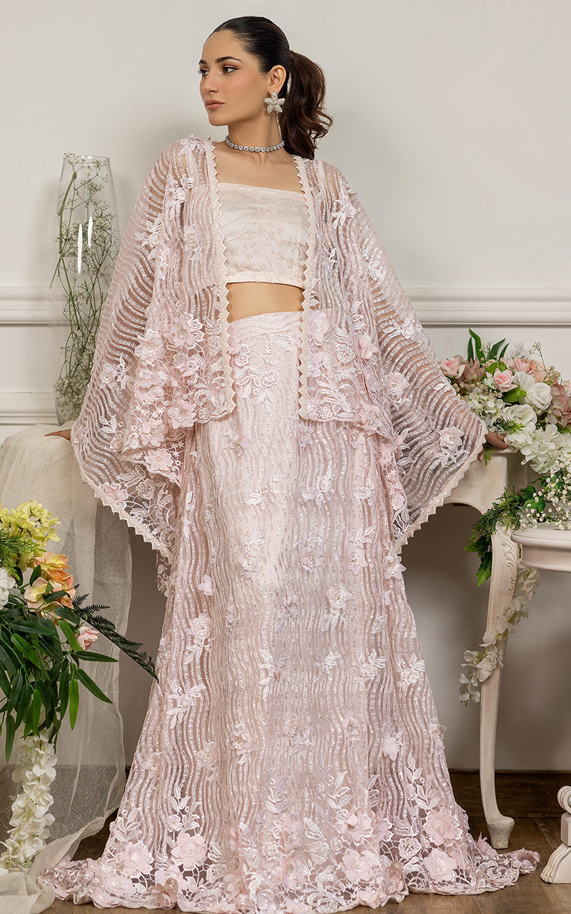 Blush Pink Embroidered Net Cape Dress (2-Piece) - Image 1