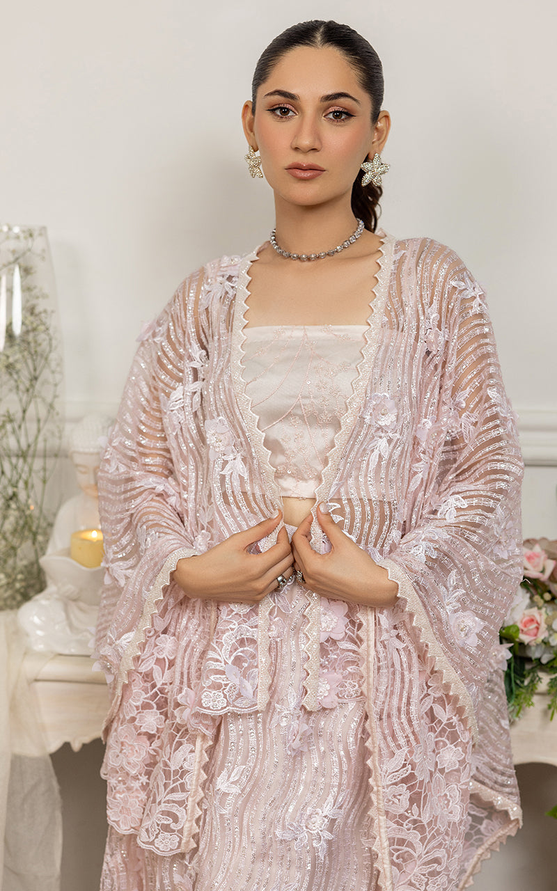 Blush Pink Embroidered Net Cape Dress (2-Piece) - Image 3
