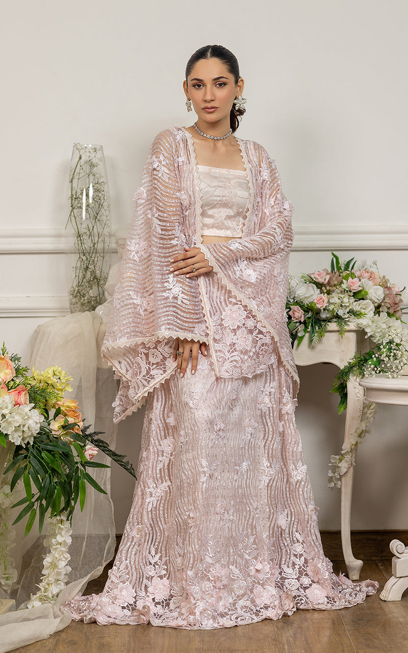 Blush Pink Embroidered Net Cape Dress (2-Piece) - Image 4