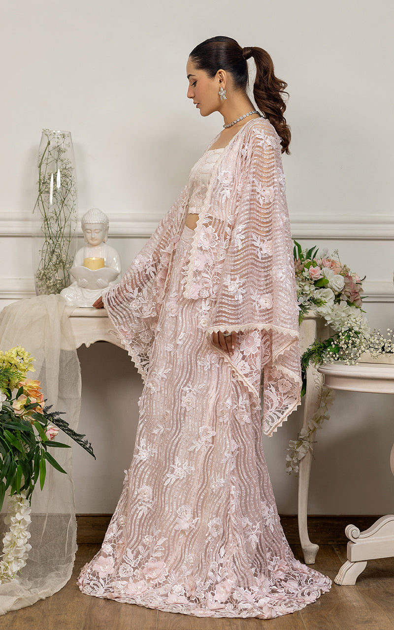 Blush Pink Embroidered Net Cape Dress (2-Piece) - Image 5