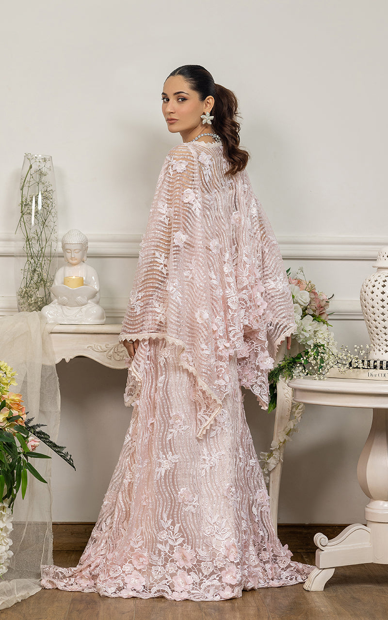 Blush Pink Embroidered Net Cape Dress (2-Piece) - Image 7