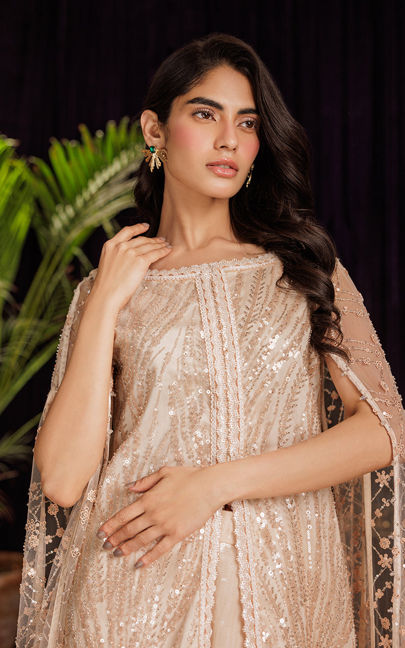 Pakistani Blush Sequin Embroidered Net Cape Dress (2-Piece) - Image 2