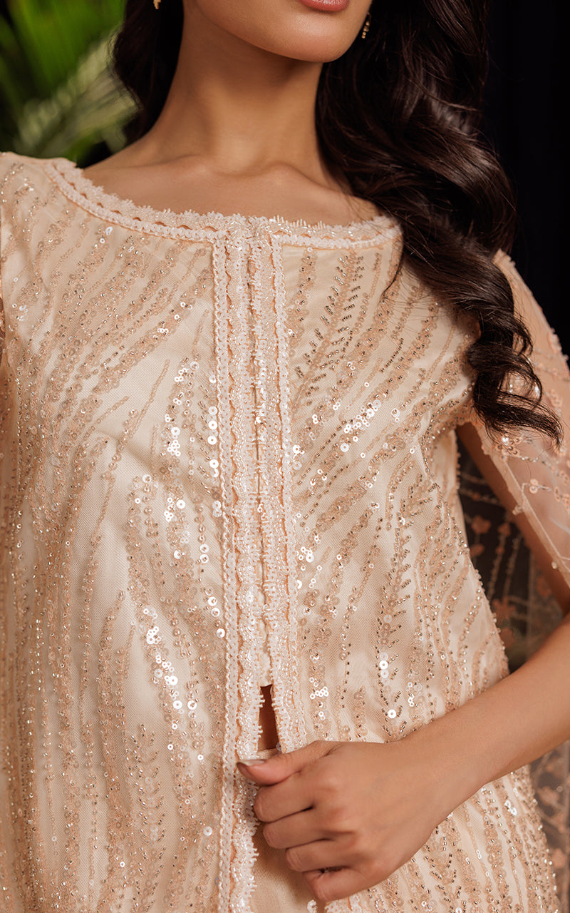 Pakistani Blush Sequin Embroidered Net Cape Dress (2-Piece) - Image 3