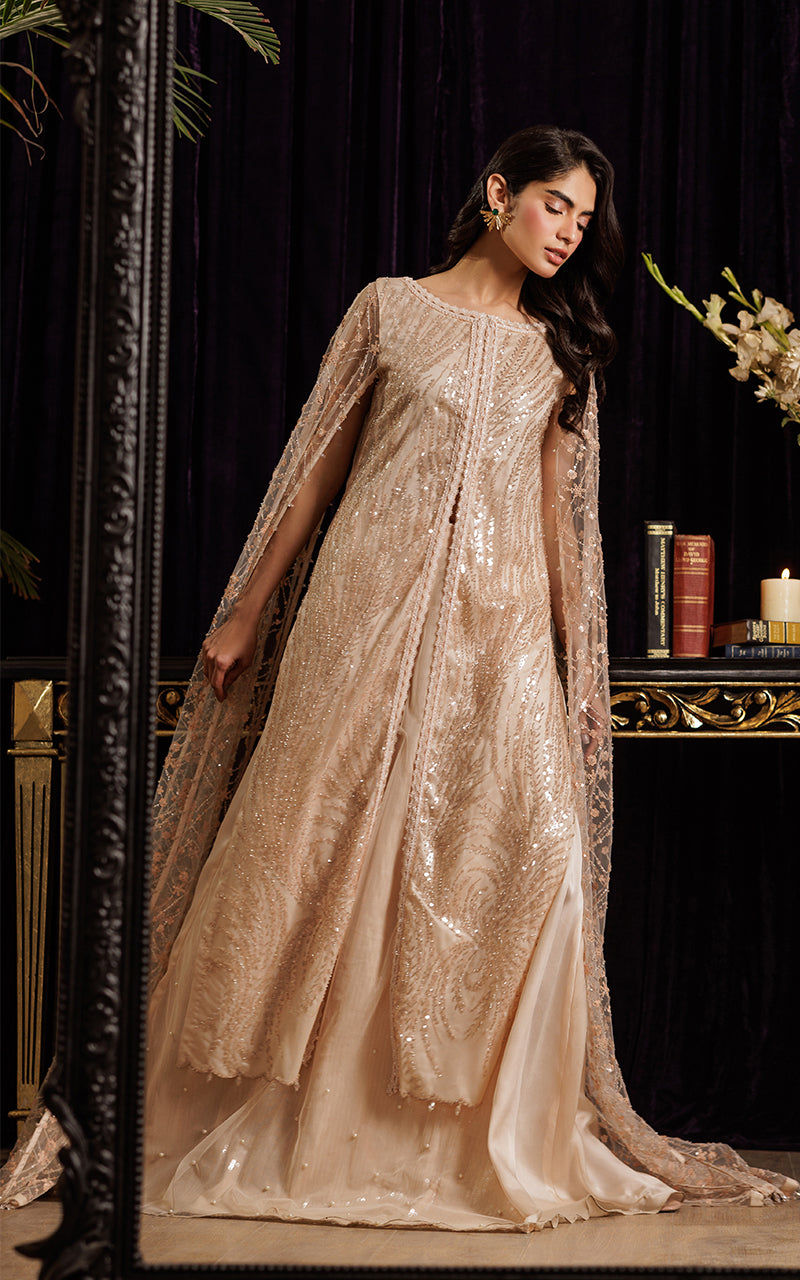 Pakistani Blush Sequin Embroidered Net Cape Dress (2-Piece) - Image 4