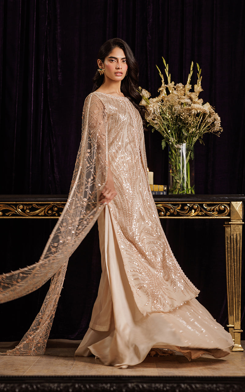 Pakistani Blush Sequin Embroidered Net Cape Dress (2-Piece) - Image 5