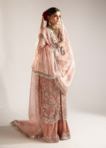 Blush Pink Embellished Organza Jacket Set (4-Piece) - Image 8