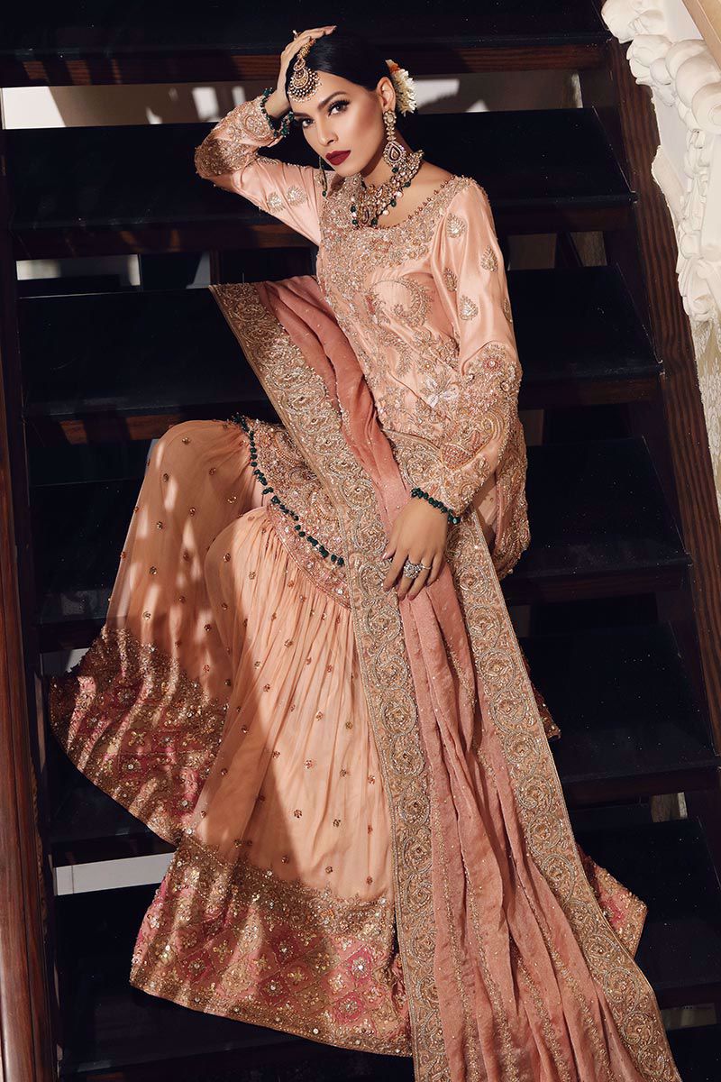Pakistani Tea Pink Gangajamni Embroidered Chiffon Gharara (3-Piece) - Image 4