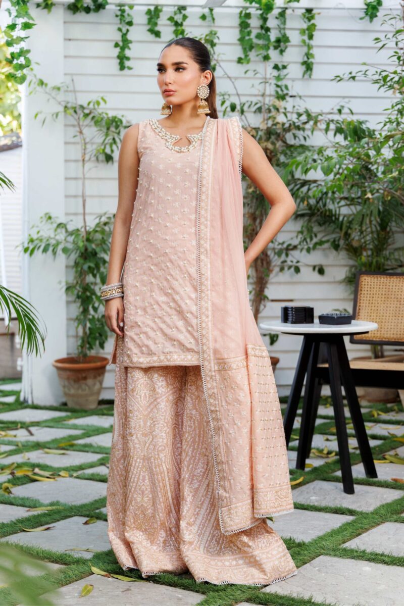 Pakistani Pastel Pink Kashmiri Embroidered Chiffon Gharara (3-Piece) - Image 1