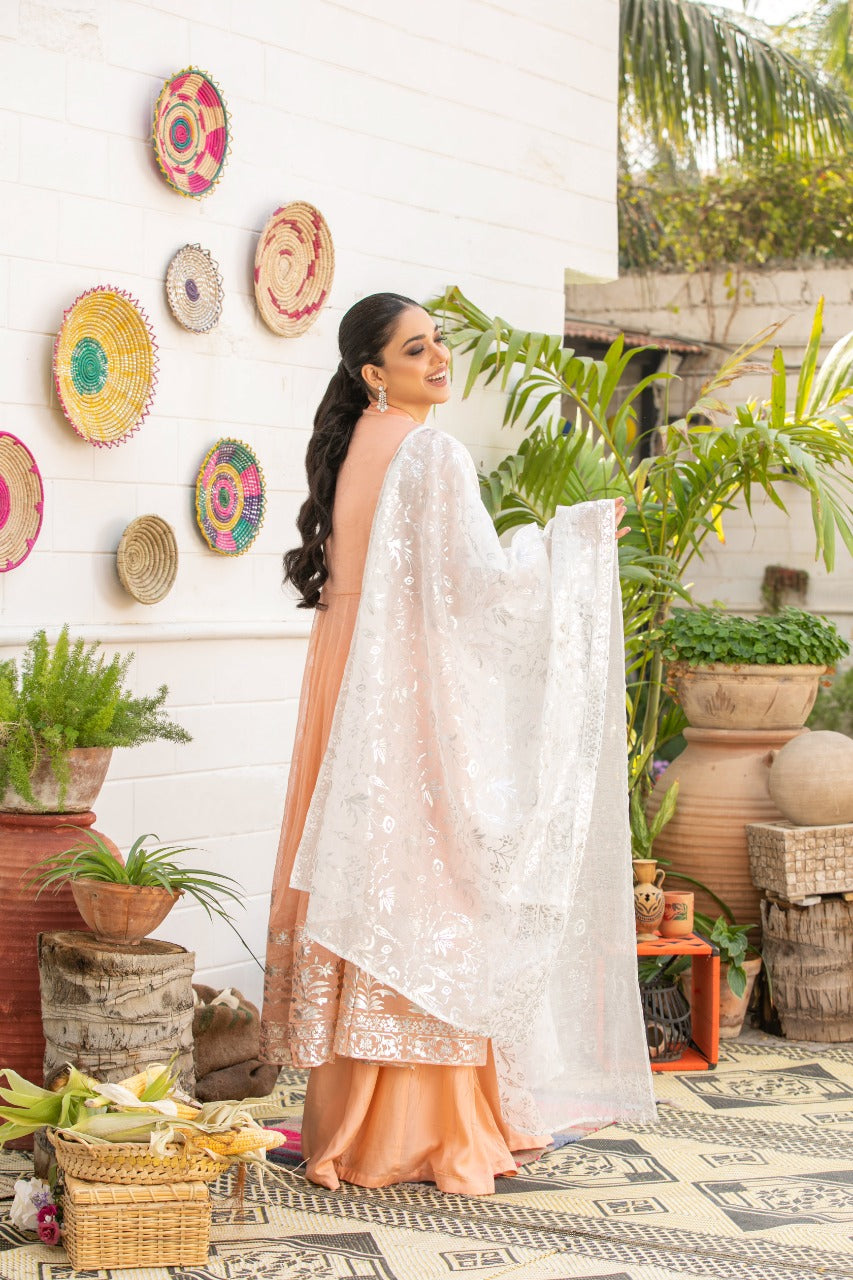 Peach Foil-Printed Peshwas Gharara (3-Piece) - Image 3