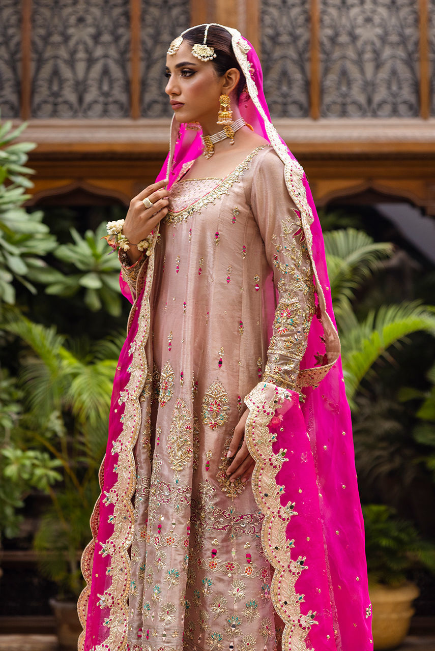 Blush Embroidered Maysuri Kalidar Gharara (3-Piece) - Image 2