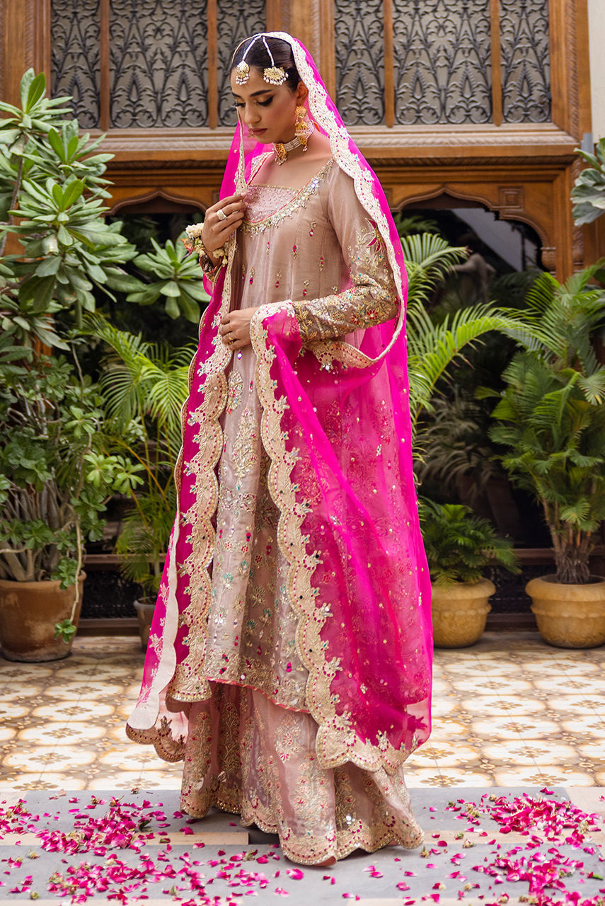 Blush Embroidered Maysuri Kalidar Gharara (3-Piece) - Image 3